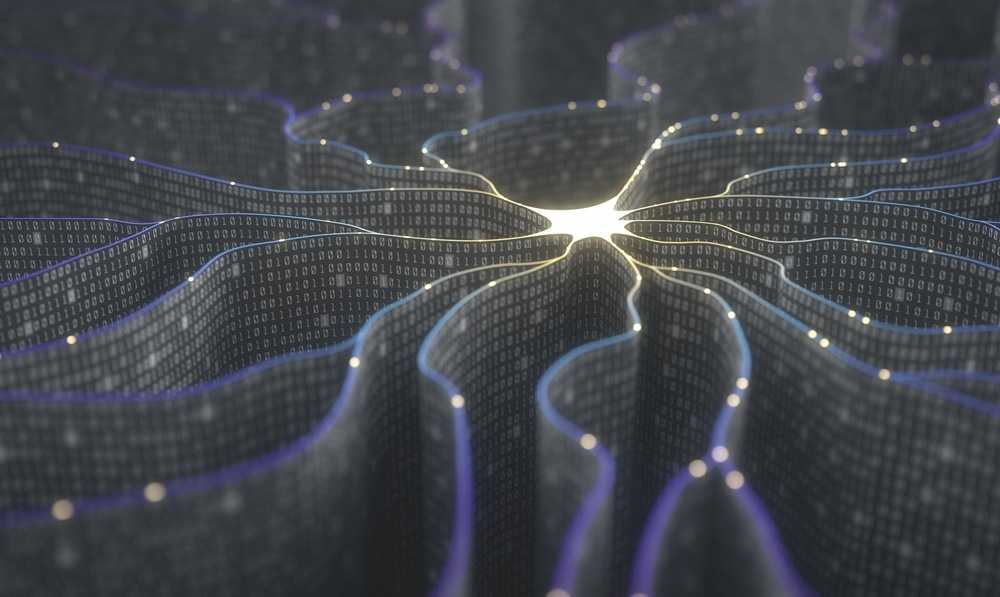 What is the Integrated Information Theory of Consciousness?